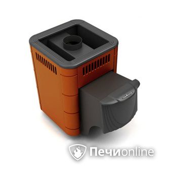 Дровяная банная печь TMF Оса Carbon терракота дверь антрацит в Урае