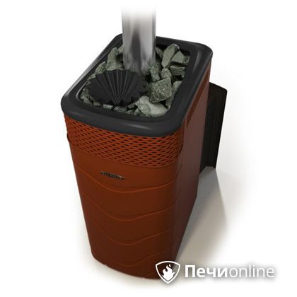 Дровяная банная печь TMF Гейзер XXL 2017 Inox Витра закрытая каменка терракота в Урае